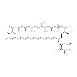 ChemSpider 2D Image | (1R,3R,5S,6S,9S,11S,15S,16R,17R,18S,19E,21E,23E,25E,27E,29E,31E,33R,35R,36R,37S)-33-[(3-Amino-3,6-dideoxy-beta-L-mannopyranosyl)oxy]-1,3,5,6,9,11,17,37-octahydroxy-15,16,18-trimethyl-13-oxo-14,39-diox
abicyclo[33.3.1]nonatriaconta-19,21,23,25,27,29,31-heptaene-36-carboxylic acid | C47H73NO17
