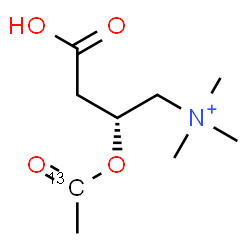 ChemSpider 2D Image | (2R)-3-Carboxy-2-[(1-~13~C)ethanoyloxy]-N,N,N-trimethyl-1-propanaminium | C813CH18NO4