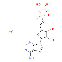 ChemSpider 2D Image | 9H-Purin-6-amine, 9-[5-O-[hydroxy(phosphonooxy)phosphinyl]pentofuranosyl]-, sodium salt (1:1) | C10H15N5NaO10P2