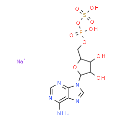 ChemSpider 2D Image | 9H-Purin-6-amine, 9-[5-O-[hydroxy(sulfooxy)phosphinyl]pentofuranosyl]-, sodium salt (1:1) | C10H14N5NaO10PS