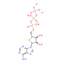 ChemSpider 2D Image | Dipotassium 5'-O-(hydroxy{[hydroxy(phosphonatooxy)phosphoryl]oxy}phosphoryl)adenosine | C10H14K2N5O13P3