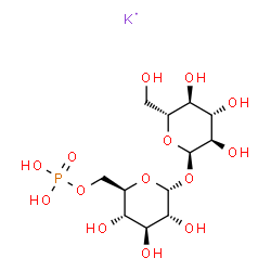 ChemSpider 2D Image | alpha-D-Glucopyranoside, alpha-D-glucopyranosyl, 6-(dihydrogen phosphate), potassium salt (1:1) | C12H23KO14P