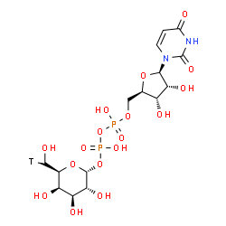ChemSpider 2D Image | [(2R,3S,4R,5R)-5-(2,4-Dioxo-3,4-dihydro-1(2H)-pyrimidinyl)-3,4-dihydroxytetrahydro-2-furanyl]methyl (2R,3R,4S,5R,6S)-3,4,5-trihydroxy-6-[(S)-hydroxy(~3~H_1_)methyl]tetrahydro-2H-pyran-2-yl dihydrogen 
diphosphate | C15H23TN2O17P2