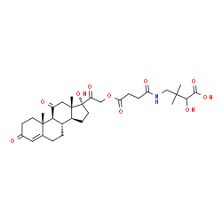ChemSpider 2D Image | 2-Hydroxy-4-({4-[(17-hydroxy-3,11,20-trioxopregn-4-en-21-yl)oxy]-4-oxobutanoyl}amino)-3,3-dimethylbutanoic acid | C31H43NO10