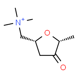 ChemSpider 2D Image | 2,5-Anhydro-1,4,6-trideoxy-6-(trimethylammonio)-L-erythro-hex-3-ulose | C9H18NO2