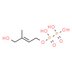 ChemSpider 2D Image | (2E)-2-Methyl-4-[(1,2,2-trihydroxy-1,2-dioxido-1lambda~5~,2lambda~5~-diphosphan-1-yl)oxy]-2-buten-1-ol | C5H12O7P2