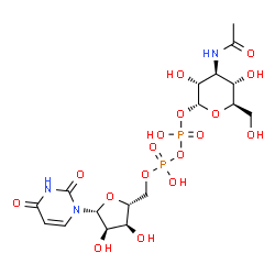 ChemSpider 2D Image | (2R,3R,4S,5S,6R)-4-Acetamido-3,5-dihydroxy-6-(hydroxymethyl)tetrahydro-2H-pyran-2-yl [(2R,3S,4R,5R)-5-(2,4-dioxo-3,4-dihydro-1(2H)-pyrimidinyl)-3,4-dihydroxytetrahydro-2-furanyl]methyl dihydrogen diph
osphate | C17H27N3O17P2