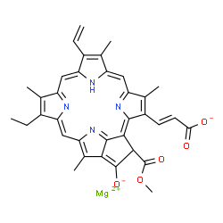 ChemSpider 2D Image | Magnesium (2E)-3-[14-ethyl-21-(methoxycarbonyl)-4,8,13,18-tetramethyl-20-oxido-9-vinyl-3,4-didehydro-3--21,25-dihydrophorbinyl]acrylate | C35H30MgN4O5