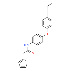 ChemSpider 2D Image | N-{4-[4-(2-Methyl-2-butanyl)phenoxy]phenyl}-2-(2-thienyl)acetamide | C23H25NO2S