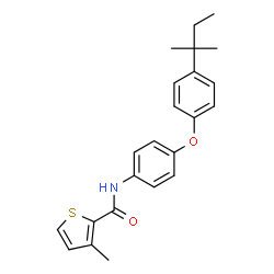 ChemSpider 2D Image | 3-Methyl-N-{4-[4-(2-methyl-2-butanyl)phenoxy]phenyl}-2-thiophenecarboxamide | C23H25NO2S