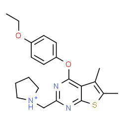 ChemSpider 2D Image | 1-{[4-(4-Ethoxyphenoxy)-5,6-dimethylthieno[2,3-d]pyrimidin-2-yl]methyl}pyrrolidinium | C21H26N3O2S