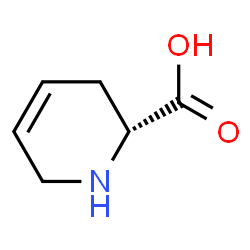 ChemSpider 2D Image | (2R)-1,2,3,6-Tetrahydro-2-pyridinecarboxylic acid | C6H9NO2