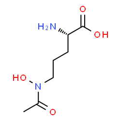 ChemSpider 2D Image | N-acetyl-N-hydroxy-L-ornithine | C7H14N2O4