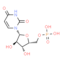 ChemSpider 2D Image | 1-(5-O-Phosphono-beta-D-xylofuranosyl)-2,4(1H,3H)-pyrimidinedione | C9H13N2O9P