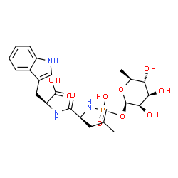 ChemSpider 2D Image | (2S)-2-({(2S)-2-[(Hydroxy{[(2R,3R,4R,5R,6S)-3,4,5-trihydroxy-6-methyltetrahydro-2H-pyran-2-yl]oxy}phosphoryl)amino]-4-methylpentanoyl}amino)-3-(1H-indol-3-yl)propanoic acid | C23H34N3O10P