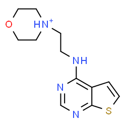 ChemSpider 2D Image | 4-[2-(Thieno[2,3-d]pyrimidin-4-ylamino)ethyl]morpholin-4-ium | C12H17N4OS