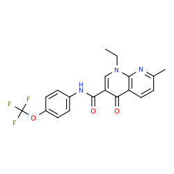 ChemSpider 2D Image | 1-Ethyl-7-methyl-4-oxo-N-[4-(trifluoromethoxy)phenyl]-1,4-dihydro-1,8-naphthyridine-3-carboxamide | C19H16F3N3O3