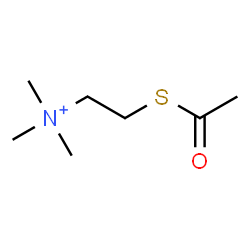 ChemSpider 2D Image | 2-(Acetylsulfanyl)-N,N,N-trimethylethanaminium | C7H16NOS