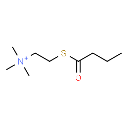 ChemSpider 2D Image | 2-(Butyrylsulfanyl)-N,N,N-trimethylethanaminium | C9H20NOS