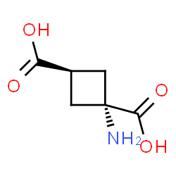 ChemSpider 2D Image | cis-ACBD | C6H9NO4