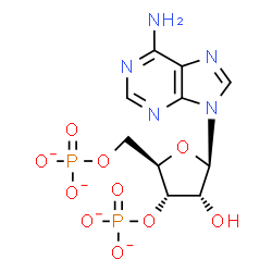 ChemSpider 2D Image | adenosine 3',5'-bismonophosphate tetraanion | C10H11N5O10P2