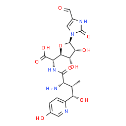 ChemSpider 2D Image | 1-(5-{[(2S,3S,4S)-2-Amino-1,4-dihydroxy-4-(5-hydroxy-2-pyridinyl)-3-methylbutylidene]amino}-5-deoxy-beta-D-allofuranuronosyl)-2-hydroxy-1H-imidazole-4-carbaldehyde | C20H25N5O10
