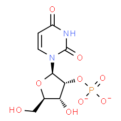 ChemSpider 2D Image | Uridine 2'-phosphate | C9H11N2O9P