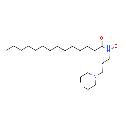 ChemSpider 2D Image | 1-{[3-(4-Morpholinyl)propyl](oxido)-lambda~5~-azanyl}-1-tetradecanone | C21H42N2O3