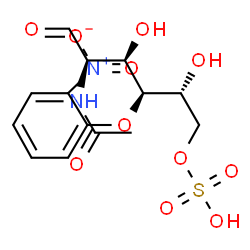 ChemSpider 2D Image | 2-Acetamido-2-deoxy-4-O-(2-nitrophenyl)-6-O-sulfo-D-glucose | C14H18N2O11S