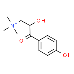ChemSpider 2D Image | para-Hydroxybenzoylcholine | C12H18NO3