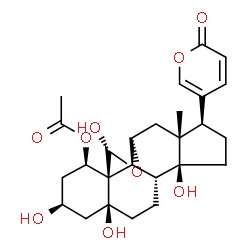 ChemSpider 2D Image | (1beta,3beta,5beta,11alpha,19R)-1-Acetoxy-3,5,14,19-tetrahydroxy-11,19-epoxybufa-20,22-dienolide | C26H34O9
