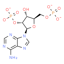 ChemSpider 2D Image | Adenosine 2',5'-bisphosphate | C10H11N5O10P2