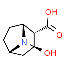 ChemSpider 2D Image | (1R,2S,3S,5S)-3-Hydroxy-8-methyl-8-azabicyclo[3.2.1]octane-2-carboxylic acid | C9H15NO3