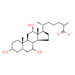 ChemSpider 2D Image | 3a,7a,12a-Trihydroxy-5b-cholestan-26-oate | C27H45O5