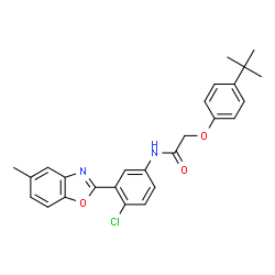 ChemSpider 2D Image | 2-(4-tert-butylphenoxy)-N-(4-chloro-3-(5-methylbenzo[d]oxazol-2-yl)phenyl)acetamide | C26H25ClN2O3