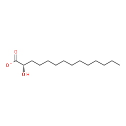 ChemSpider 2D Image | 2S-Hydroxytetradecanoate | C14H27O3