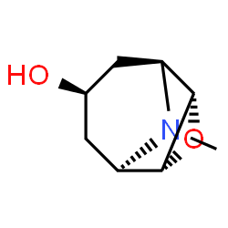 ChemSpider 2D Image | Scopine | C8H13NO2