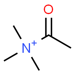 ChemSpider 2D Image | N,N,N-Trimethyl-1-oxoethanaminium | C5H12NO