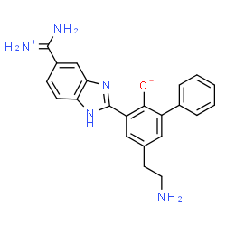 ChemSpider 2D Image | 5-(2-Aminoethyl)-3-{5-[ammonio(imino)methyl]-1H-benzimidazol-2-yl}-2-biphenylolate | C22H21N5O