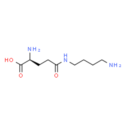 ChemSpider 2D Image | gamma-L-Glutamylputrescine | C9H19N3O3
