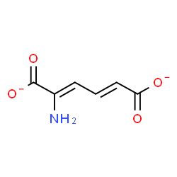 ChemSpider 2D Image | 2-aminohexa-2,4-dienedioate | C6H5NO4