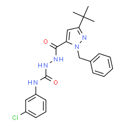 ChemSpider 2D Image | N1-(3-chlorophenyl)-2-{[1-benzyl-3-(tert-butyl)-1H-pyrazol-5-yl]carbonyl}hydrazine-1-carboxamide | C22H24ClN5O2