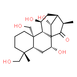 ChemSpider 2D Image | (5beta,7alpha,9beta,10alpha,11beta,13alpha,14R,16beta)-7,11,14,18,20-Pentahydroxykauran-15-one | C20H32O6