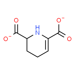 ChemSpider 2D Image | tetrahydrodipicolinate | C7H7NO4