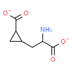 ChemSpider 2D Image | 2-Amino-4,5-methanoadipate | C7H9NO4