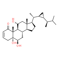 ChemSpider 2D Image | stoloniferone J | C29H46O4