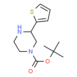 ChemSpider 2D Image | tert-butyl 3-(thiophen-2-yl)piperazine-1-carboxylate | C13H20N2O2S