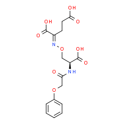 ChemSpider 2D Image | (2E)-2-({(2S)-2-Carboxy-2-[(phenoxyacetyl)amino]ethoxy}imino)pentanedioic acid | C16H18N2O9