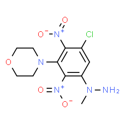 ChemSpider 2D Image | 4-[3-Chloro-5-(1-methylhydrazino)-2,6-dinitrophenyl]morpholine | C11H14ClN5O5