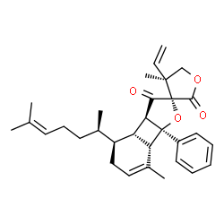 ChemSpider 2D Image | (2S,3aR,3bS,4S,4'S,7aS,7bS)-4',7-Dimethyl-4-[(2R)-6-methyl-5-hepten-2-yl]-7b-phenyl-4'-vinyl-3a,3b,4,4',5,5',7a,7b-octahydro-3H-spiro[benzo[3,4]cyclobuta[1,2-b]furan-2,3'-furan]-2',3-dione | C31H38O4